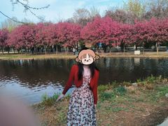 -石家庄市植物园