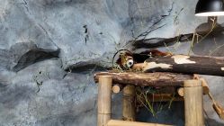 -Zoolung Zoolung动物主题公园(海信广场店)