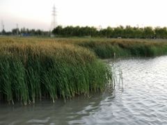 -党河风情线国家水利风景区