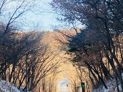 -长春净月潭风景名胜区