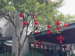 -金满楼(天河中路店)