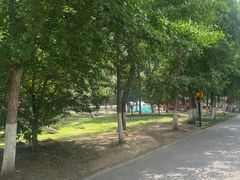 -长白岛森林公园