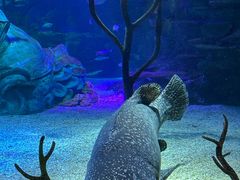 -沈阳海洋探索中心