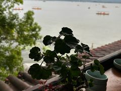 -湖畔居茶楼(湖滨店)