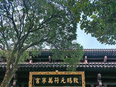 -句容茅山景区