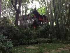 iphone_upload_pic-望江楼公园