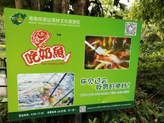 -呀诺达热带雨林
