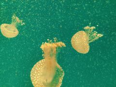 -福州罗源湾海洋世界旅游区