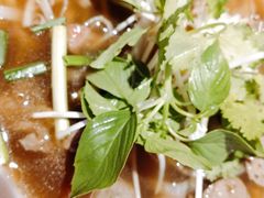 -MISS PHO·觅粉·越南粉实验室(保利文化广场店)