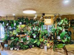 -Rabbit Cafe私房西餐甜点咖啡(栖霞路店)