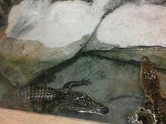 -洛阳龙门海洋馆