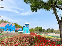 -宜兴龙背山森林公园
