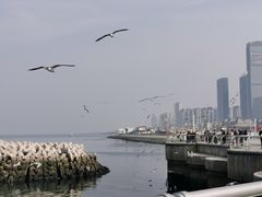 -东港音乐喷泉广场