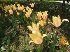 -长春公园(普阳街道)