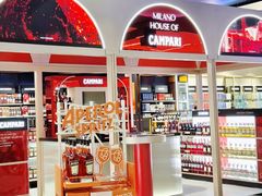 -米兰-马尔彭萨机场