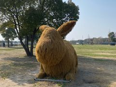 -嘉北郊野公园