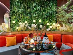 -花隐·美芙炫海菲秀皮肤管理中心