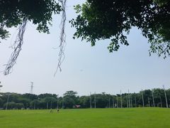 -海上田园