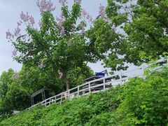 -杭州屏风山越野车营地·团建别墅轰趴民宿