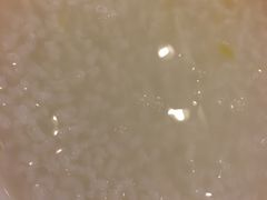 -深运潮州粥(东门店)