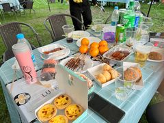 -上海海湾国家森林公园