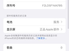 -Apple授权服务商·尚易(大理恒邦时代天街店)