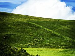 -莫尔道嘎国家森林公园