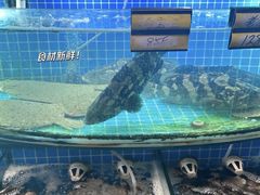 -望海潮海鲜店 特色家常菜(在海一方店)