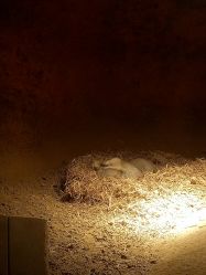 -酷嗒动物文化乐园(cutezoo西溪乐天城店)