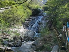 -青峰峡国家森林公园