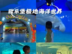 -泉城欧乐堡海洋极地世界
