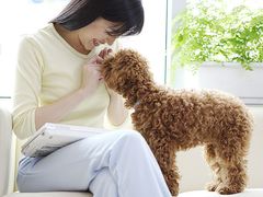 -瑞派·关忠动物医院·猫专科·犬专科(三环新城店)