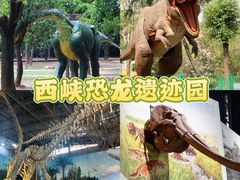 -中国西峡恐龙遗迹园