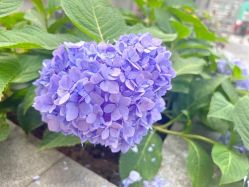 -KK瑜伽·普拉提