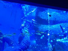 -波塞冬海底世界