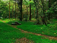 -南宁良凤江国家森林公园