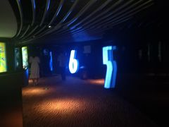 -上海金逸影城(静安大悦城店（原新恒星影城）)