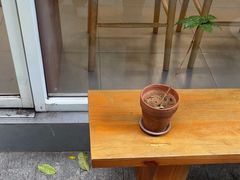 -LilBee Coffee
