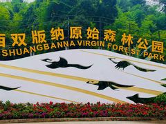 -西双版纳原始森林公园