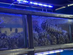 -富来美食(成发大厦店)