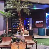 广州新店 二沙岛氛围感清吧「M绿洲」