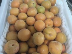 -物美大卖场(玉蜓桥店)