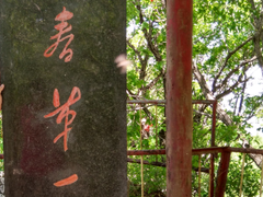 -吊水壶国家森林公园
