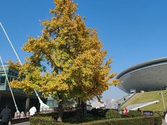 -世博源公馆·本帮融合菜·主题包厢·江景餐厅