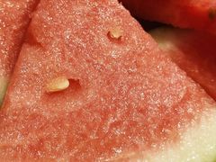 餐后果盘-正兴蜀园(科技园区店)