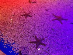 -华夏文旅西安度假区