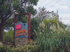-前小桔亲子创意农场·草莓采摘·露营烧烤