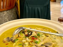 -饭怕鱼·黄焖鲟龙鱼(湖大店)