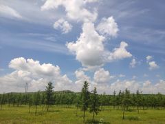 -塞罕坝国家级自然保护区