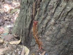 -七仙岭温泉国家森林公园